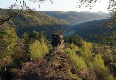 Trail On foot Spirkelbach - Wernersberg 30 - Photo