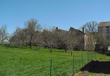 Tocht Te voet Arnsdorf - Gelber Strich Pulsnitz, Großröhrsdorf, Stolpen,... - Photo