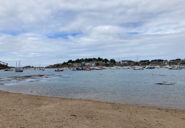 Trail Walking Perros-Guirec - Perros-Guirec / Tregastel - Photo