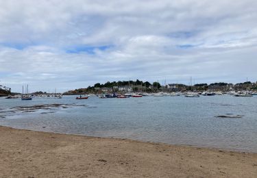 Randonnée Marche Perros-Guirec - Perros-Guirec / Tregastel - Photo