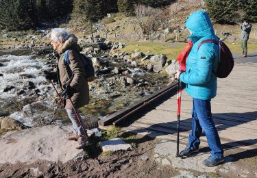 Randonnée Marche Cauterets - montée fruitière - Photo