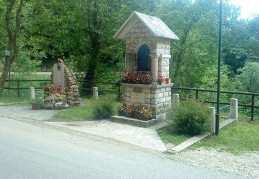 Tour Zu Fuß Altissimo - Anello Ecoturistico Piccole Dolomiti 002 - Photo