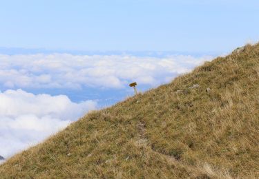 Tocht Te voet Saint-Maurice - Tour des Dents du Midi - Photo