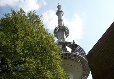 Tour Zu Fuß Steinhagen - Hünenburg-Weg - Photo