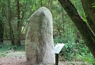 Randonnée Marche Saint-Estèphe - Saint-Estephe par Piėgut - Photo