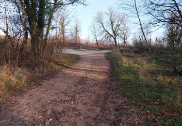 Trail Walking Tallenay - D B 01 01 23 - Photo