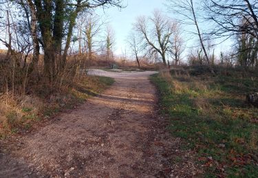 Tour Wandern Tallenay - D B 01 01 23 - Photo