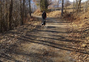 Trail Walking Arbaz - arbaz - Photo