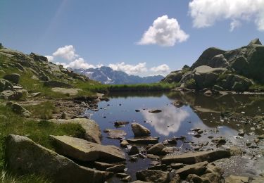 Excursión A pie Pinzolo - Sentiero della Canavaccia e guida Dellagiacoma - Photo