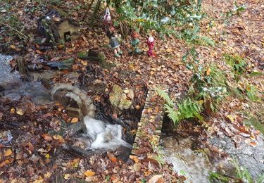 Trail Walking Saint-Jean-Brévelay - CAA 20191114 APRÈS-MIDI ST JEAN DE BREVELAY - Photo