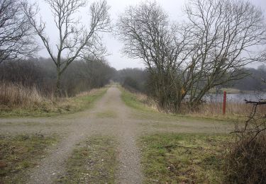 Trail On foot  - blå rute i Klintenborg Plantage - Photo