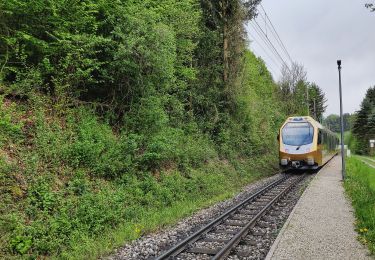 Tocht Te voet Gemeinde Kirchberg an der Pielach - Tut Gut 2 - Photo