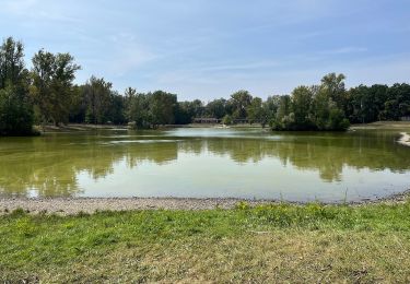 Excursión A pie Přerov - naučná stezka Přerovským luhem (zkrácená trasa) - Photo