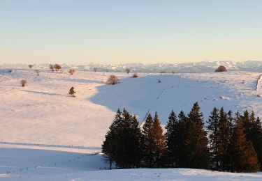 Trail Trail Provence - Creux des van - Photo