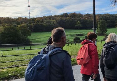 Trail Walking Godewaersvelde - Gode 12km rcmf 10.11.2022 - Photo