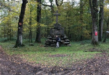 Tour Wandern Montamisé - Charrassé - Photo