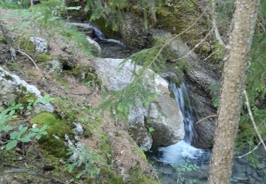 Trail Nordic walking Arbaz - Bitailla  - Photo