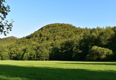 Tocht Te voet Harzgerode - DE-grüner Punkt - Photo