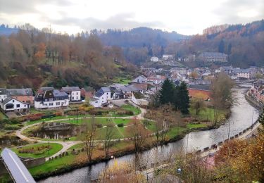 Excursión Senderismo La Roche-en-Ardenne - Promenade du Diable-Château  - Photo