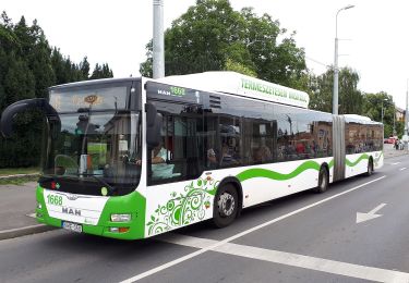 Randonnée A pied Sáta - Kohászok útja Sáta-Miskolc - Photo