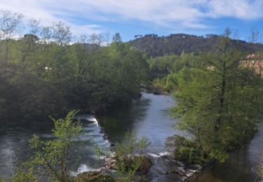 Tocht Stappen Malons-et-Elze - GRP haute vallée de la Cèze  - Photo