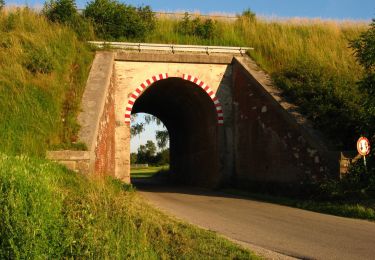 Percorso A piedi Wörth - MVV Wanderweg Quadrat Ottenhofen - Photo