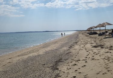Tocht Stappen  - boucle nea-moudania, Grèce  - Photo