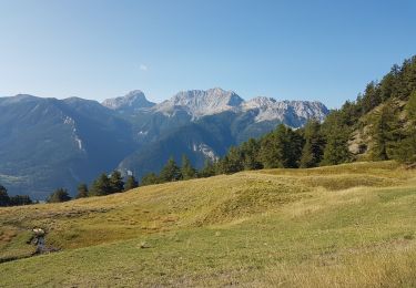 Trail Walking Les Thuiles - Les Plastres - Lac de l'Aupillon - Photo