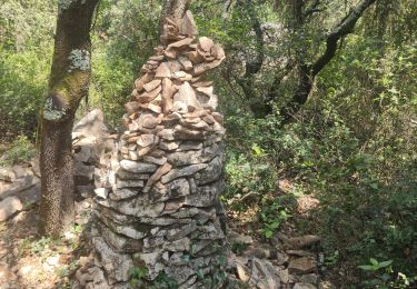 Trail Walking Saint-Maximin - saint-maximin - planes - Photo