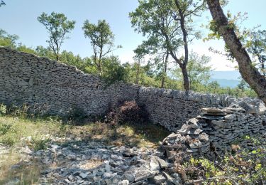 Trail Walking Châteauneuf-Val-Saint-Donat - château neuf, val St donat - Photo