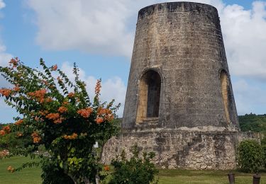 Tour Wandern Grand-Bourg - Marie Galante - Habitation Roussel - la Grande Savane -  la Pointe Maréchal  - Photo