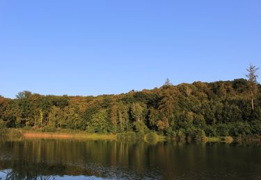 Trail On foot Nemochovice - [Z] Zadní jezírko - Nemochovice - Photo