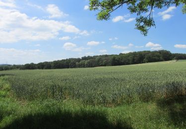 Excursión A pie Schwerte - Rundweg um Schwerte S - Photo