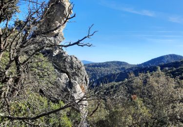 Trail Walking La Celle - rocher de candelon 2 - Photo