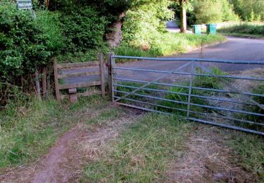 Tocht Te voet  - Lodge Hill Circular Walk - Photo