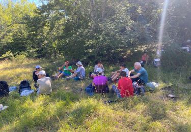 Tour Wandern Caille - Caille andon  - Photo