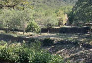 Excursión Senderismo Corbère-les-Cabanes - Corsète les cabanes - Photo