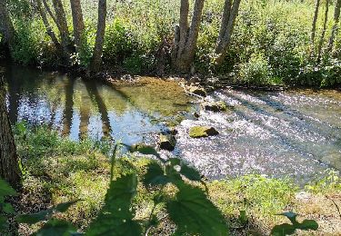 Trail Mountain bike Amayé-sur-Orne - Forêts_de_Cinglais_et_de_Grimbosq - Photo