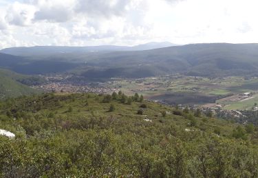 Randonnée Marche Cuges-les-Pins - col de l ange - Photo