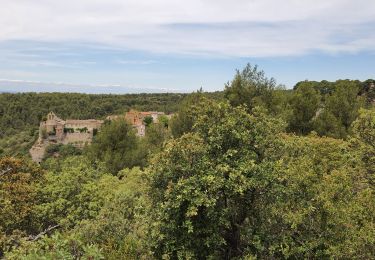 Trail Walking Saumane-de-Vaucluse - autour de Saumane  - Photo