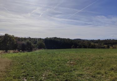 Excursión Senderismo Montchal - randonnée de Montchal - Photo