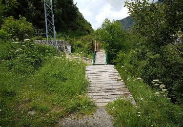 Randonnée Marche  - chemin du coq - Photo