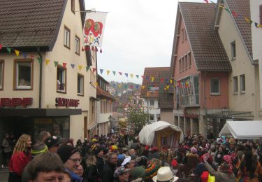 Trail On foot Weil der Stadt - Landesvermessungsweg - Photo