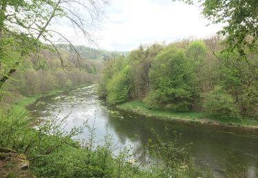 Tour Wandern Herbeumont - RSIH - Herbeumont - Les Épioux - Photo