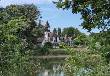 Tocht Stappen Saint-Martin-le-Beau - Chandon - Aérodrome Dierre Saint-Martin-le-Beau - 23.5km 145m 5h45 (55mn) - 2025 05 24 - Photo