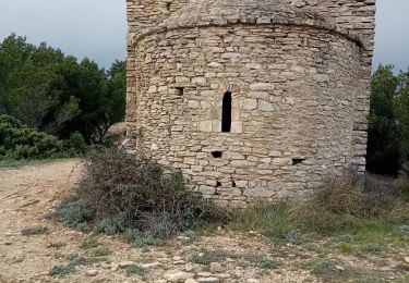 Trail Walking Mornas - Mornas forteresse et chapelle - Photo