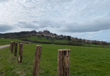 Percorso Marcia Saint-Thiébault - Bourmont sentier dans les bois  - Photo