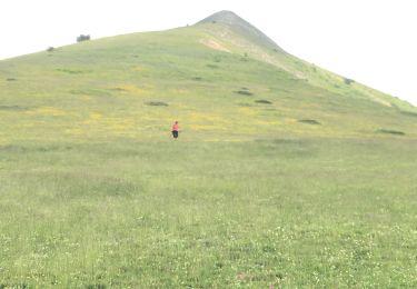 Randonnée Marche Lus-la-Croix-Haute - Pointe feuillette  - Photo