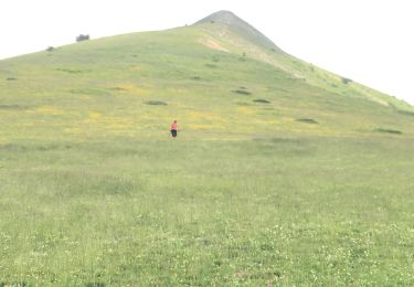 Trail Walking Lus-la-Croix-Haute - Pointe feuillette  - Photo