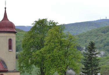 Tour Zu Fuß okres Vranov nad Topľou - Vlčí okruh - Photo